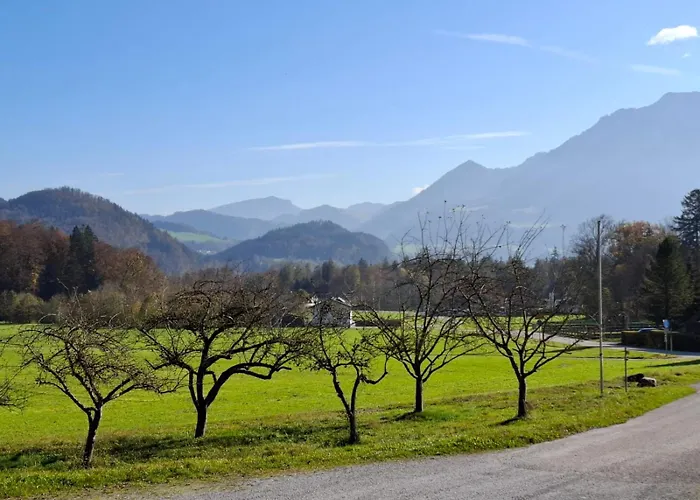 „zum Bauern“ *